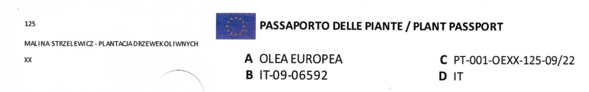 paszport fitosanitarny drzewka oliwnego